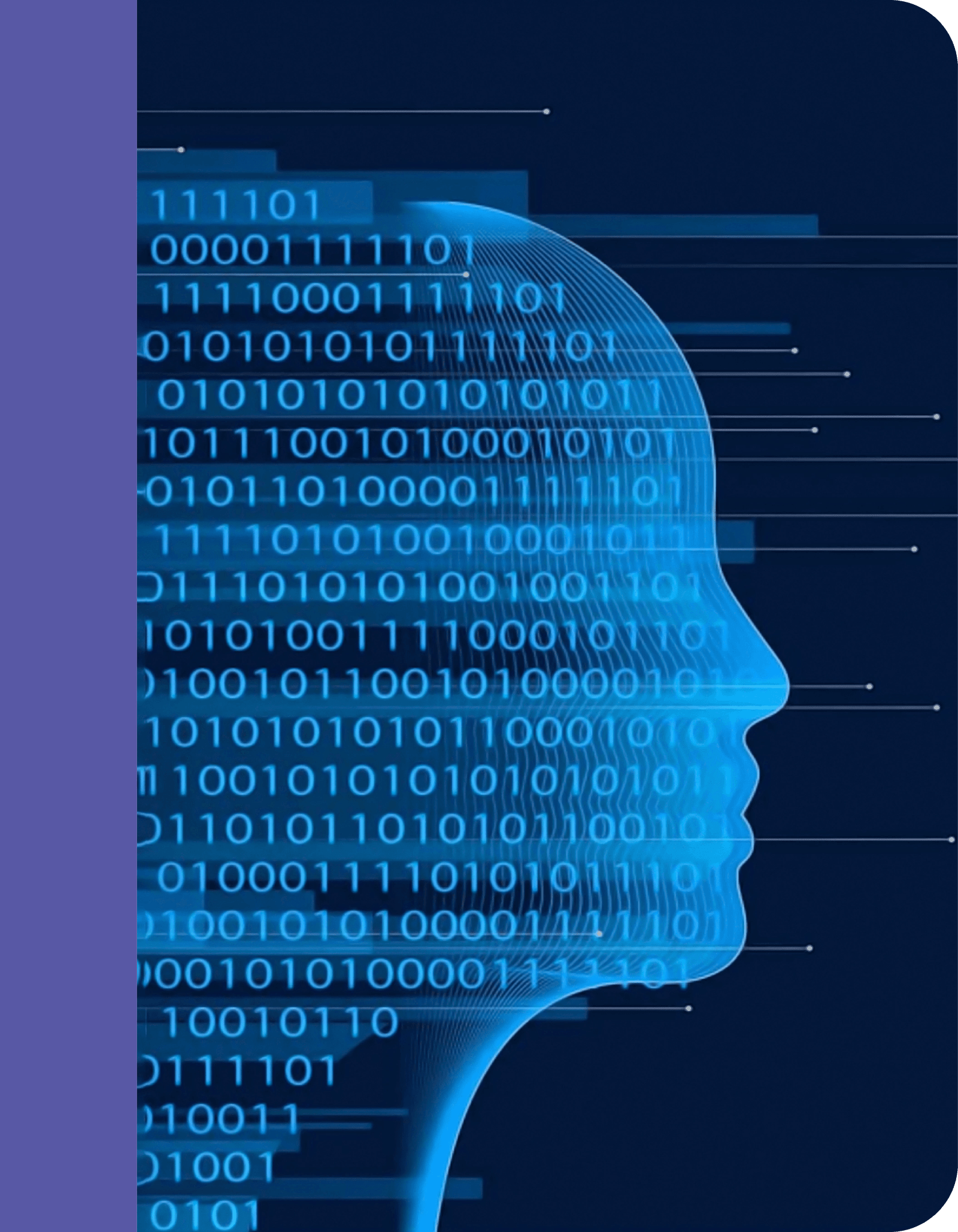 3-What We Do-elements_Banner2