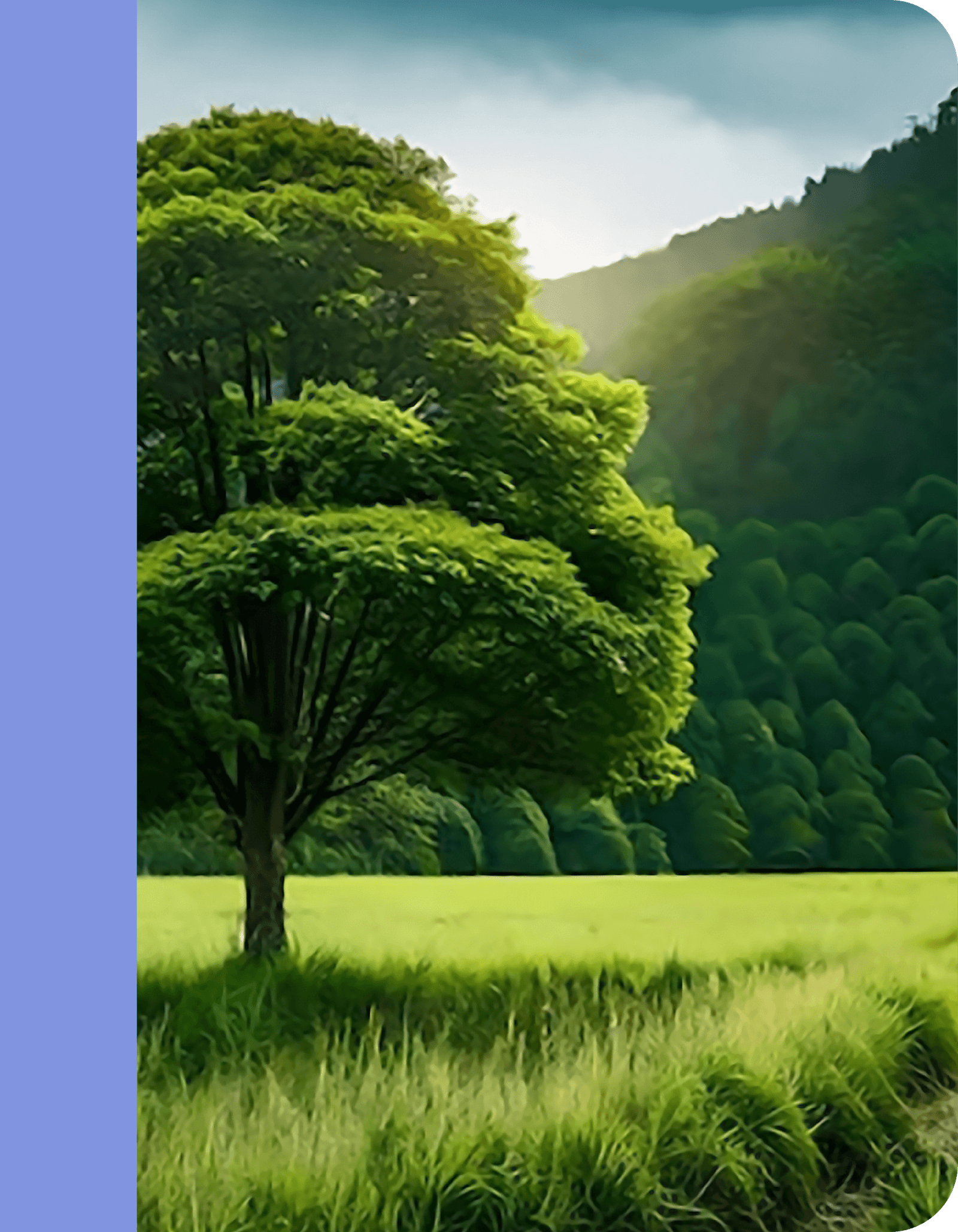 3-What We Do-elements_Banner3