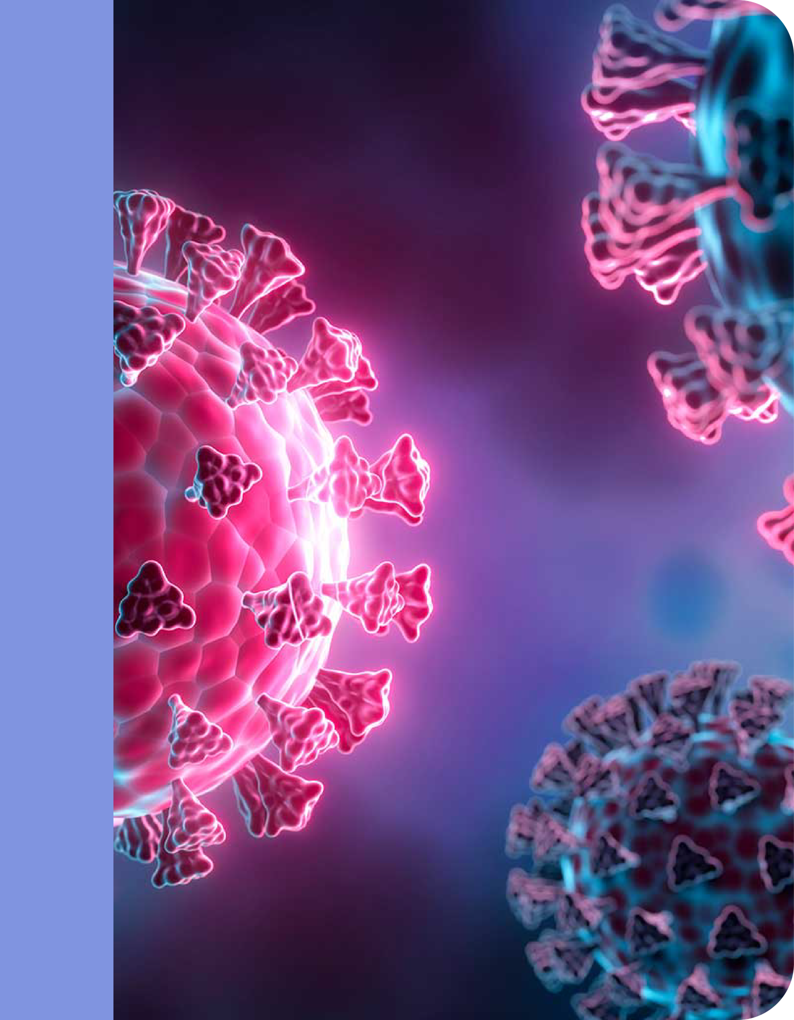 3-What We Do-elements_Banner5